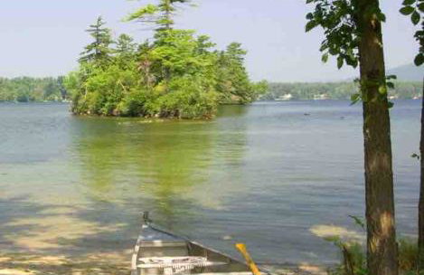 Cozy Log Cabin- W Fireplace - Foto 54