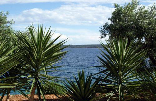 Apartmani Braco Caratan - Foto 6