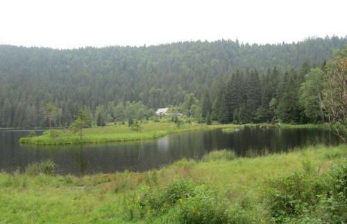 Ferienhaus Zopfhäusl - Foto 53