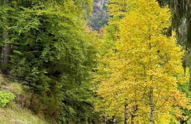 Résidence Bonnecaze - Foto 19