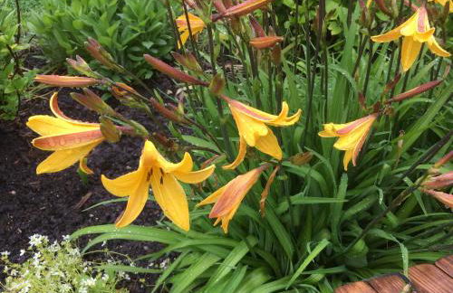 Landhaus Renata - Wendelstein - Foto 58