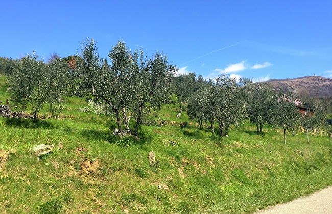 Apartment Tuscany Near Pratomagno Mountain - Foto 37