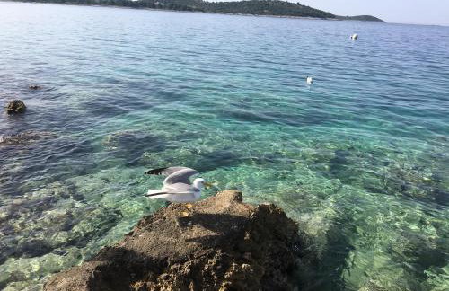 LUXURY Apartment Ledo - Foto 70