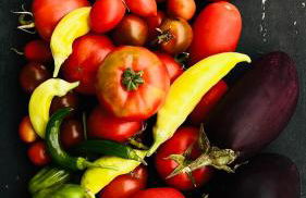 M Butterfly - Foto 43