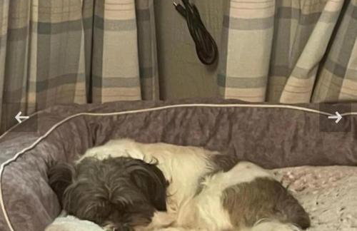 2 Bedroom Sleeps 4 Lodge-smart Tv-hot Tub-dogs Ok - Foto 46