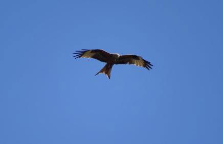 Résidence Lésia - Foto 48