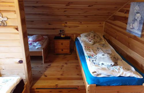 Brązowy Domek - Tleń, Bory Tucholskie - Foto 21