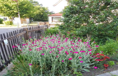 Apartment With Terrace and Pool in the Garden - Foto 32