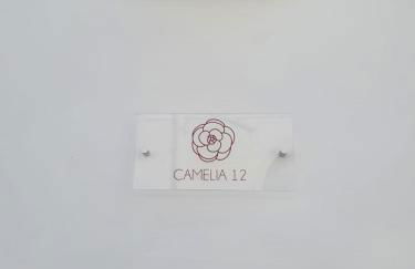 Camelia 12 Apartments - Foto 37