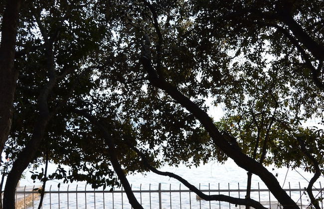 Welcome to Apartmen Palatisa - Foto 21