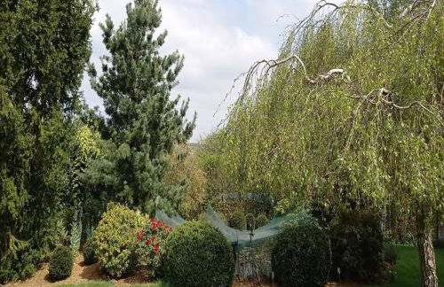 Ferienhaus Paula in Haserich im Hunsrueck - Foto 50