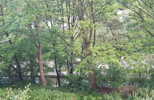 Bowie's Abode - Foto 10