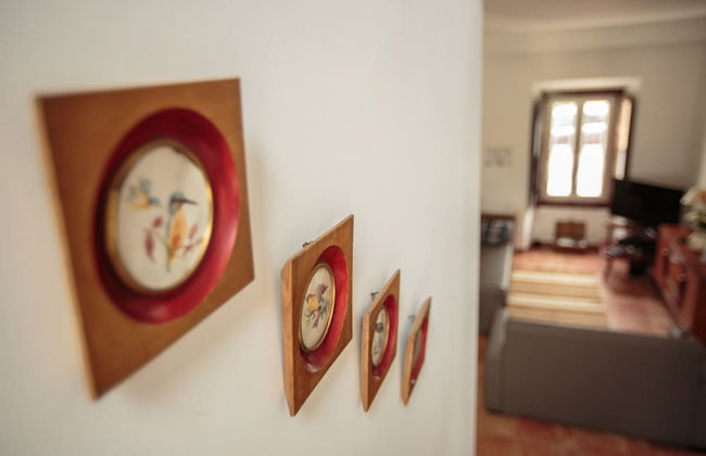 Casas da Moagem Turismo Rural - Photo 44