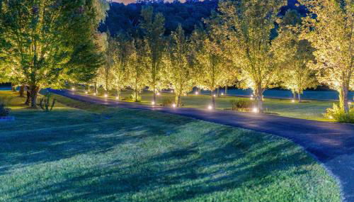 Malkita Terra -Earthly Elegance - Photo 2