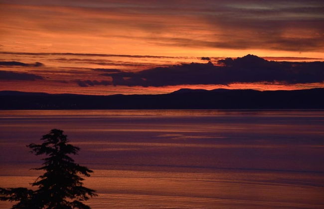 Modern and Spacious Home With Swimming Pool - Foto 35