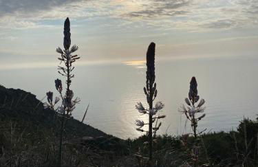 Villa Mi Marino - Foto 68