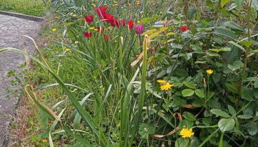 Anna's Apartment - Foto 3