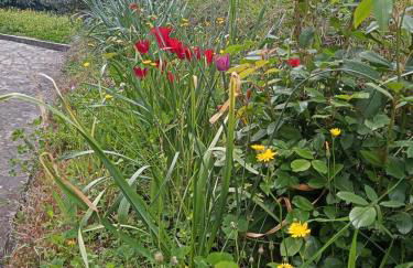 Anna's Apartment - Foto 3