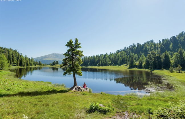 Quiet Chalet in Turracherhöhe with Sauna & Indoor Hot Tub - Foto 65