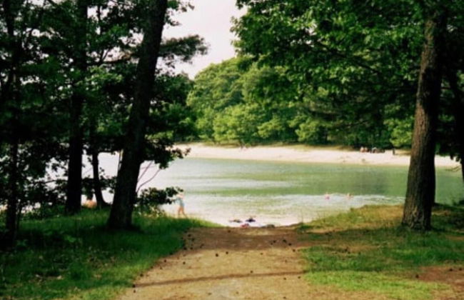 Holiday Home with Meadow View near Forests - Foto 19