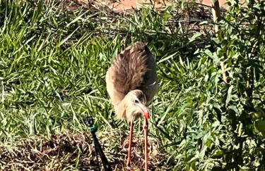 Casinha em Membeca - Foto 25