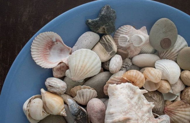 Ventura Beach 1 - Foto 11