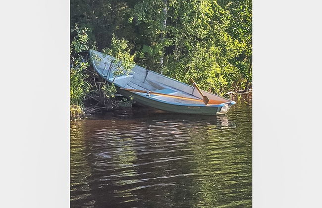 Palkinniemi - Foto 29