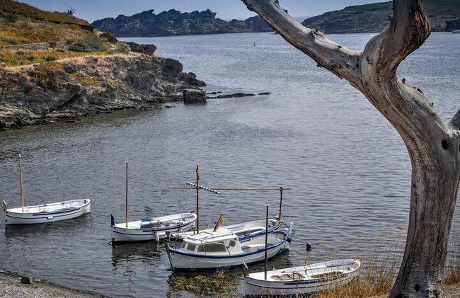 Visit Cap de Creus, Port Lligat & Cadaqués (New Free Audio Guide) - Photo 15