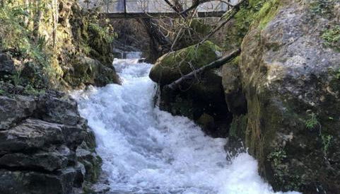 Casa González - Foto 5