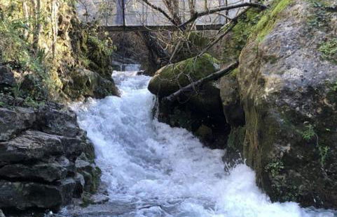 Casa González - Foto 5