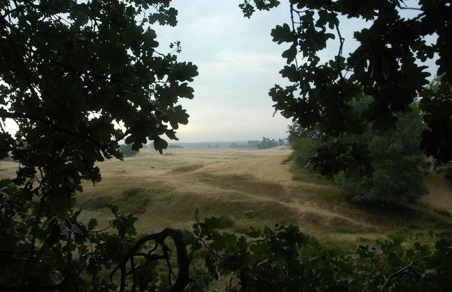 Attractive Bungalow with Covered Terrace near Veluwe - Photo 42