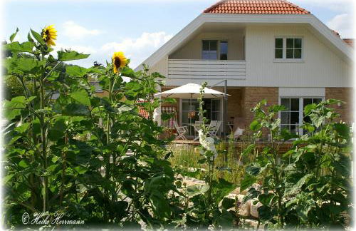 Apartment Seerose - Foto 18