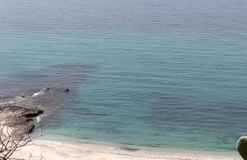 Residence Esmeraldo - Foto 42