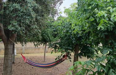 LA CASA DEL NOCE - Foto 21