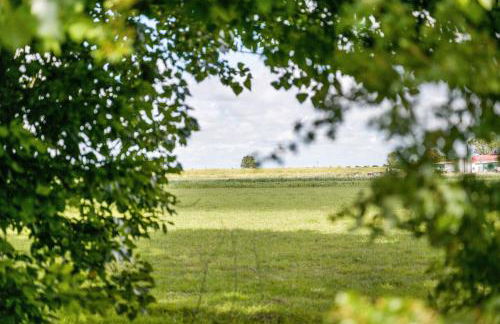 Ferienhäuser Ella Walter - Efeuhaus - Foto 26