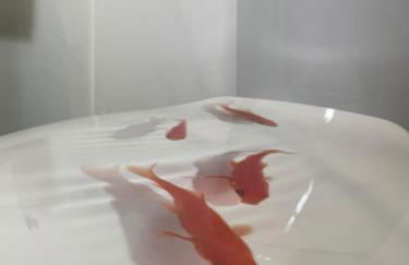 The Dairy Flat - Foto 29