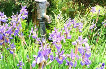 Old Bake House Cottage @ Cwm Mill - Photo 19