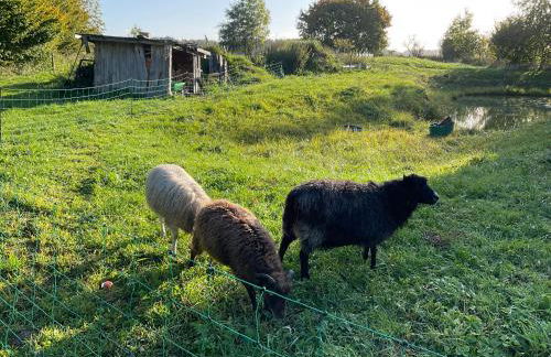 Ferienhaus Raabe - Foto 10
