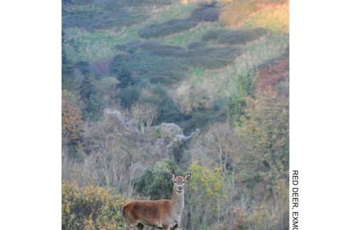 Dunster Studio Apartment - Photo 33