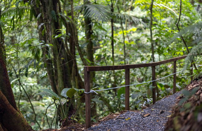 Cabañas Caeli Rainforest Glass Cabin El Congo La Fortuna - Foto 34