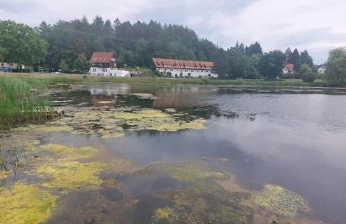 Charming Holiday Residence in the Harz With Wonderful Excursion Opportunities - Foto 80