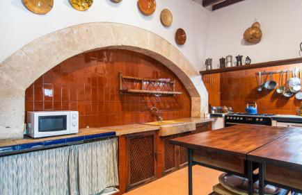 León de Sineu - Foto 48