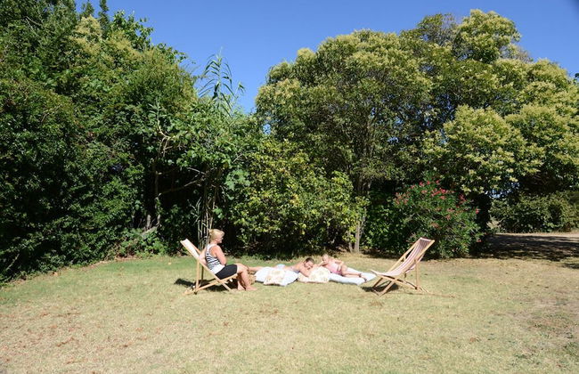 Chateau du Puits es Pratx - Foto 32