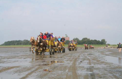 Aparthotel Am Meer - Foto 30