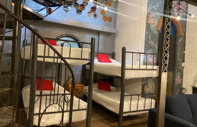 Suites Portal San Ángel - Foto 13