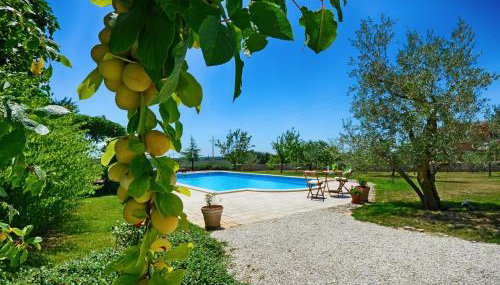 Villa Benka, Istrian stone house - Foto 3, Garden, Garden view