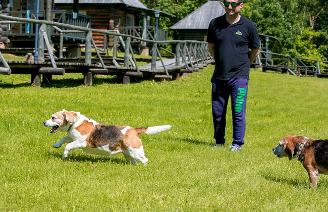 Volyn Country Club - Foto 39