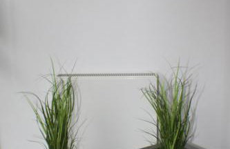 Haus an der Therme - Foto 11