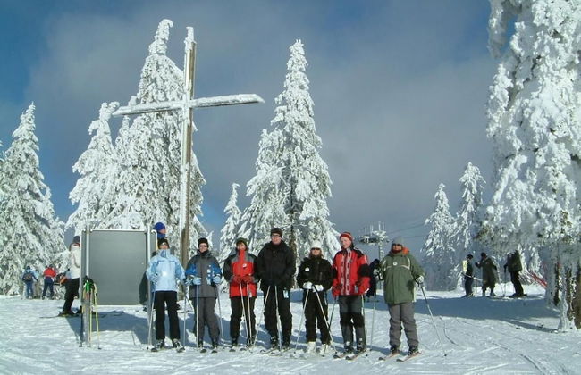 Ferienhaus Mitterdorf - Foto 31