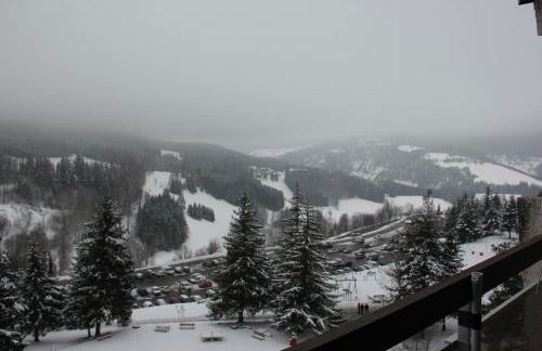 Au pied des pistes Côte 2000 - Le Balcon de Villard de Lans - Foto 69